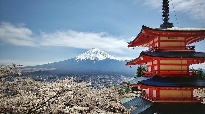 💎 기석 박물관 (키세키 하쿠부츠칸) 이미지 5